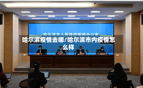 哈尔滨疫情去哪/哈尔滨市内疫情怎么样-第3张图片