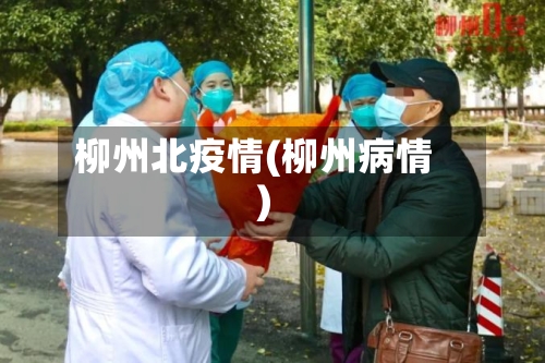 柳州北疫情(柳州病情)-第2张图片
