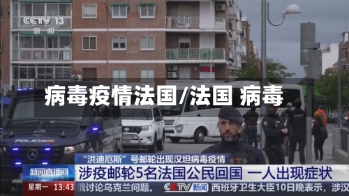 病毒疫情法国/法国 病毒-第3张图片