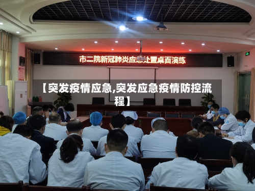 【突发疫情应急,突发应急疫情防控流程】-第2张图片