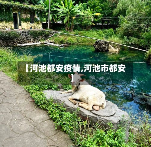 【河池都安疫情,河池市都安】-第2张图片