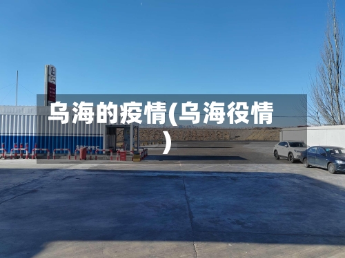 乌海的疫情(乌海役情)-第2张图片