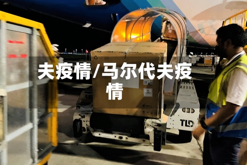 夫疫情/马尔代夫疫情-第1张图片