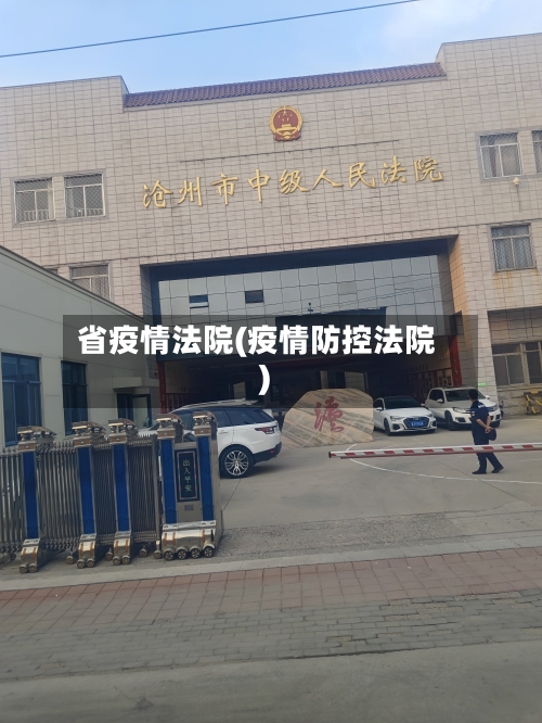 省疫情法院(疫情防控法院)-第2张图片