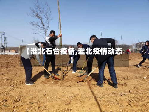 【淮北石台疫情,淮北疫情动态】-第2张图片