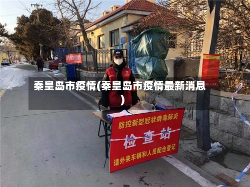 秦皇岛市疫情(秦皇岛市疫情最新消息)-第2张图片