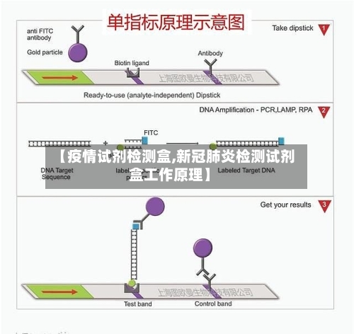 【疫情试剂检测盒,新冠肺炎检测试剂盒工作原理】-第1张图片