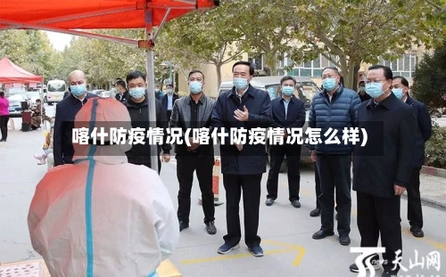 喀什防疫情况(喀什防疫情况怎么样)-第1张图片