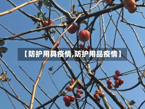 【防护用具疫情,防护用品疫情】-第3张图片
