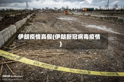 伊朗疫情真假(伊朗新冠病毒疫情)-第2张图片