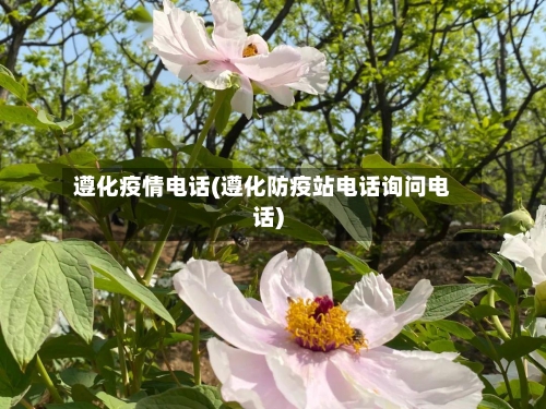 遵化疫情电话(遵化防疫站电话询问电话)-第2张图片
