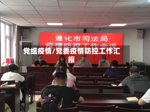 党组疫情/党委疫情防控工作汇报-第1张图片