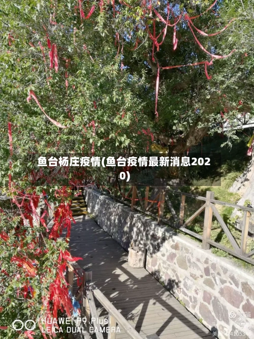 鱼台杨庄疫情(鱼台疫情最新消息2020)-第1张图片