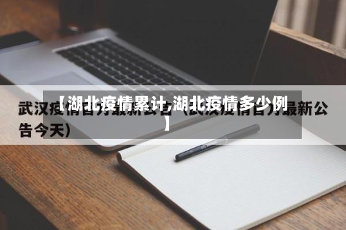 【湖北疫情累计,湖北疫情多少例】-第2张图片