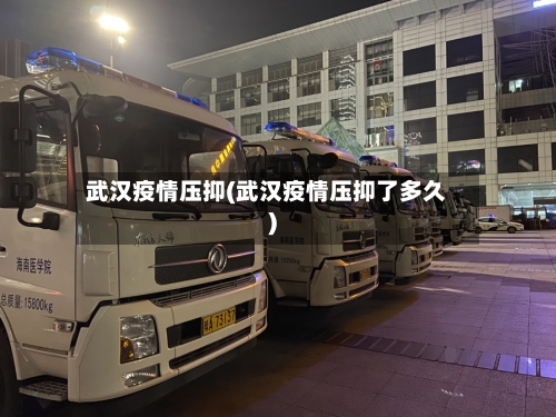 武汉疫情压抑(武汉疫情压抑了多久)-第3张图片