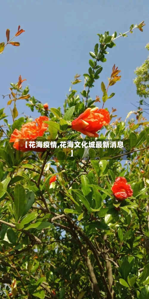 【花海疫情,花海文化城最新消息】-第2张图片