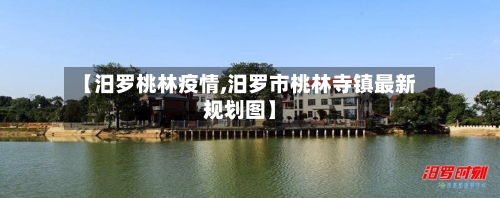 【汨罗桃林疫情,汨罗市桃林寺镇最新规划图】-第1张图片