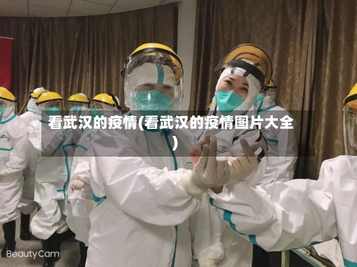 看武汉的疫情(看武汉的疫情图片大全)-第1张图片