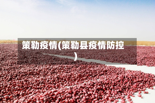 策勒疫情(策勒县疫情防控)-第1张图片