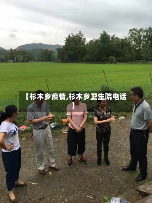 【杉木乡疫情,杉木乡卫生院电话】-第1张图片