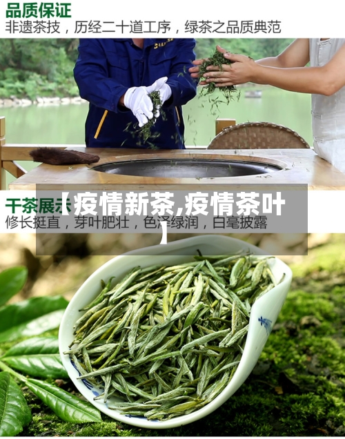 【疫情新茶,疫情茶叶】-第2张图片