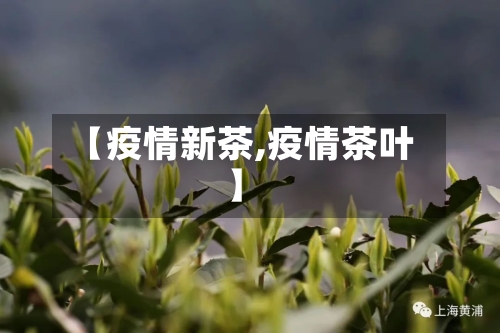 【疫情新茶,疫情茶叶】-第3张图片