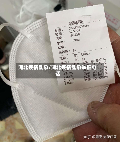 湖北疫情乱象/湖北疫情乱象举报电话-第2张图片