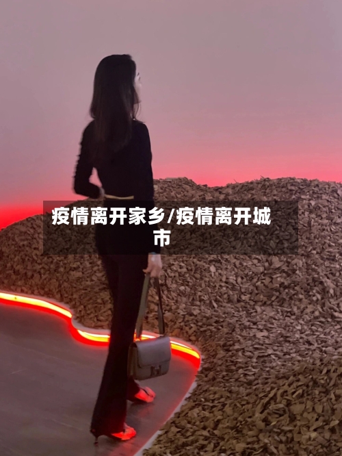 疫情离开家乡/疫情离开城市-第2张图片