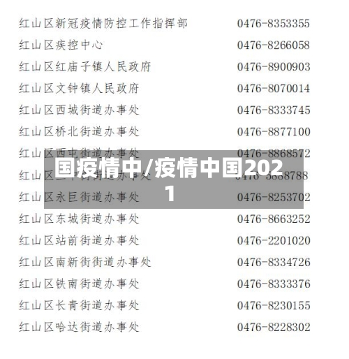 国疫情中/疫情中国2021-第1张图片
