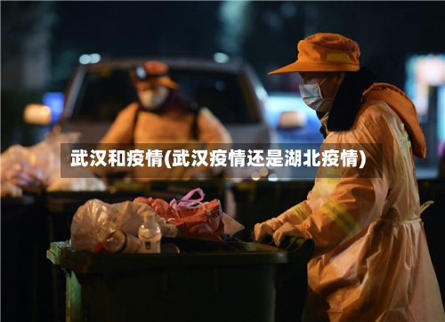 武汉和疫情(武汉疫情还是湖北疫情)-第1张图片