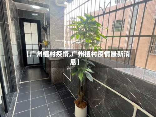 【广州植村疫情,广州植村疫情最新消息】-第3张图片