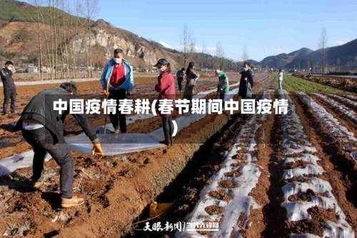 中国疫情春耕(春节期间中国疫情)-第1张图片