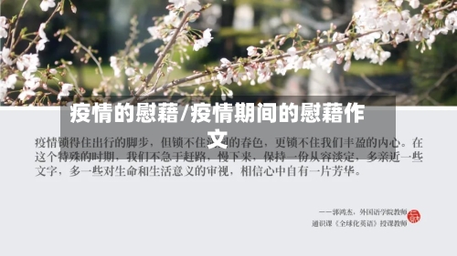 疫情的慰藉/疫情期间的慰藉作文-第1张图片