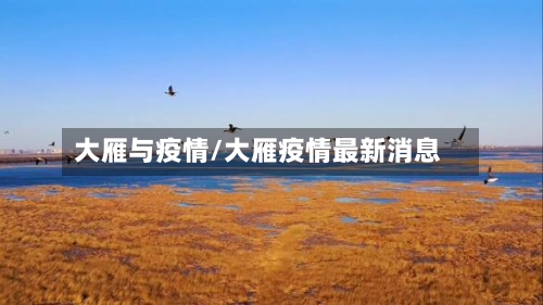 大雁与疫情/大雁疫情最新消息-第3张图片