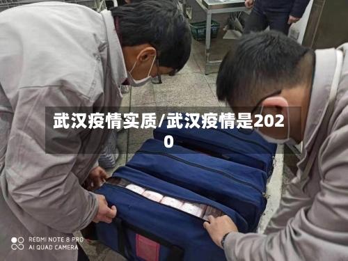 武汉疫情实质/武汉疫情是2020-第3张图片