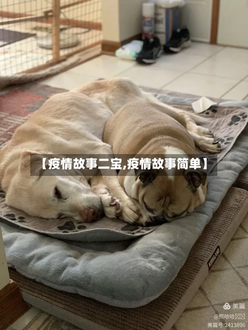 【疫情故事二宝,疫情故事简单】-第1张图片