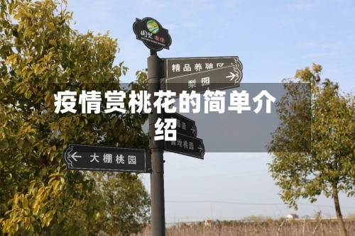 疫情赏桃花的简单介绍-第1张图片