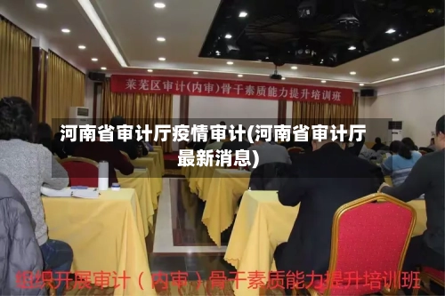河南省审计厅疫情审计(河南省审计厅最新消息)-第1张图片