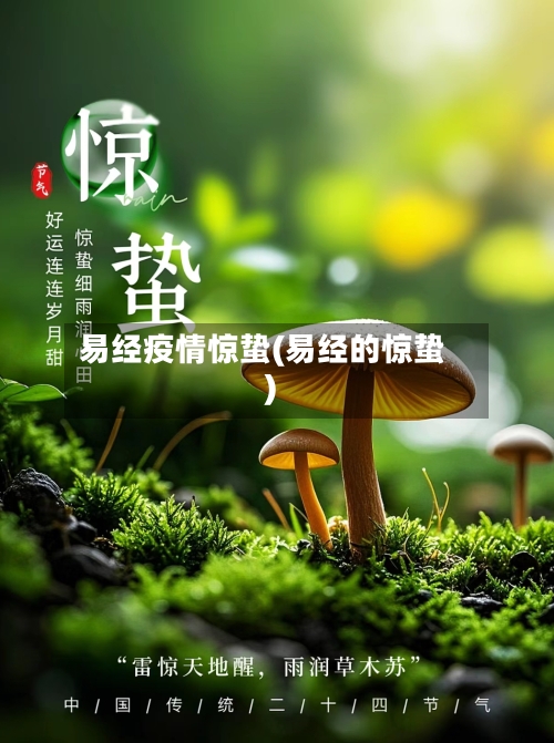易经疫情惊蛰(易经的惊蛰)-第1张图片