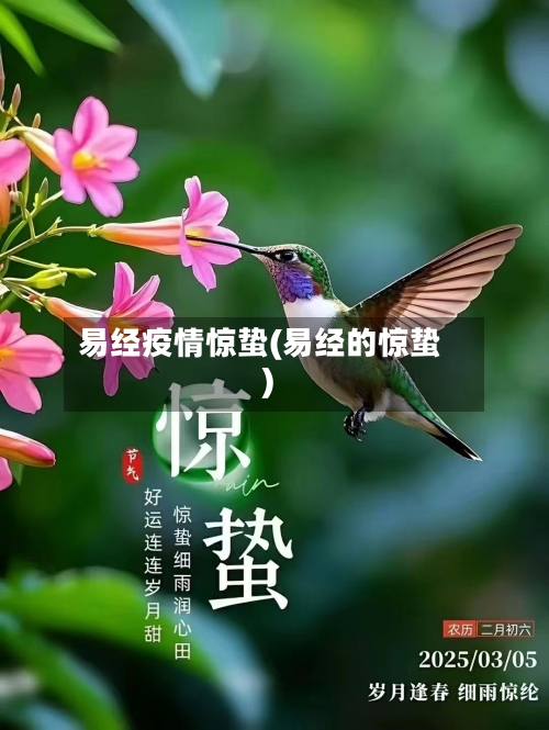 易经疫情惊蛰(易经的惊蛰)-第2张图片