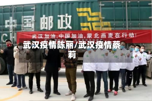 武汉疫情陈丽/武汉疫情蔡莉-第2张图片