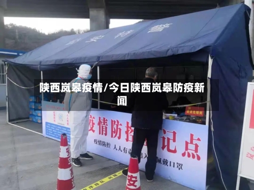陕西岚皋疫情/今日陕西岚皋防疫新闻-第1张图片