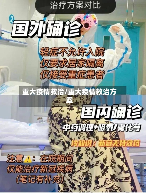 重大疫情救治/重大疫情救治方案-第1张图片