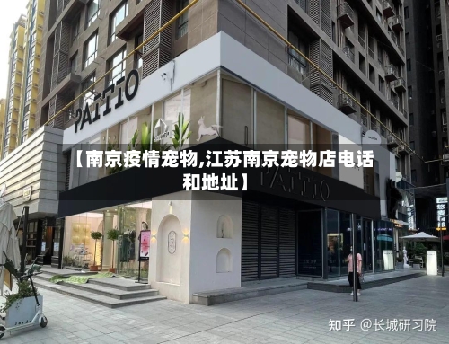 【南京疫情宠物,江苏南京宠物店电话和地址】-第2张图片