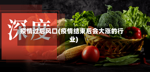 疫情过后风口(疫情结束后会大涨的行业)-第2张图片