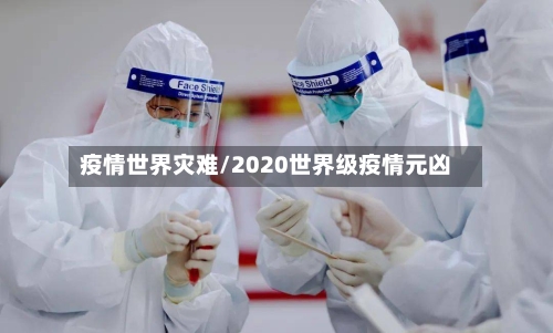 疫情世界灾难/2020世界级疫情元凶-第2张图片