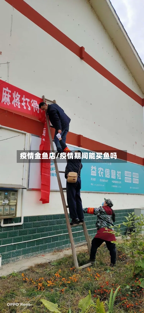 疫情金鱼店/疫情期间能买鱼吗-第2张图片