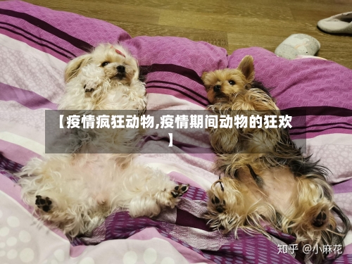 【疫情疯狂动物,疫情期间动物的狂欢】-第2张图片