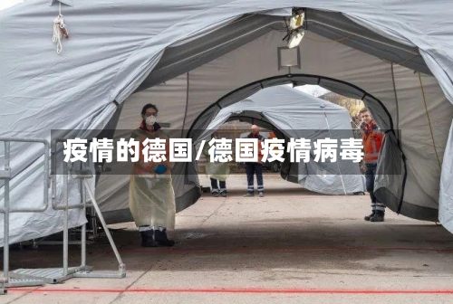 疫情的德国/德国疫情病毒-第2张图片