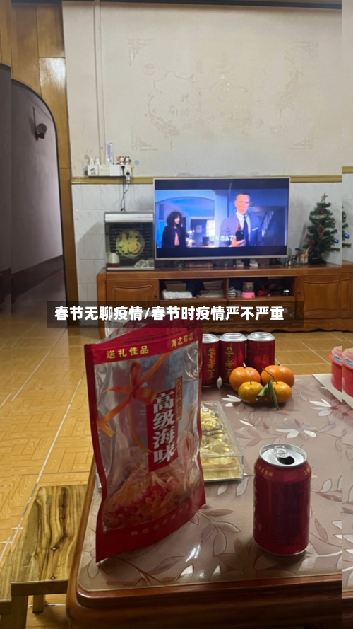 春节无聊疫情/春节时疫情严不严重-第1张图片